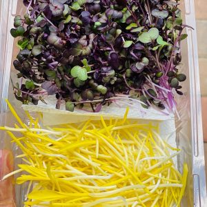 Microgreens Shoots