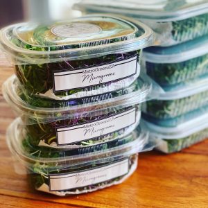 Standard Microgreens